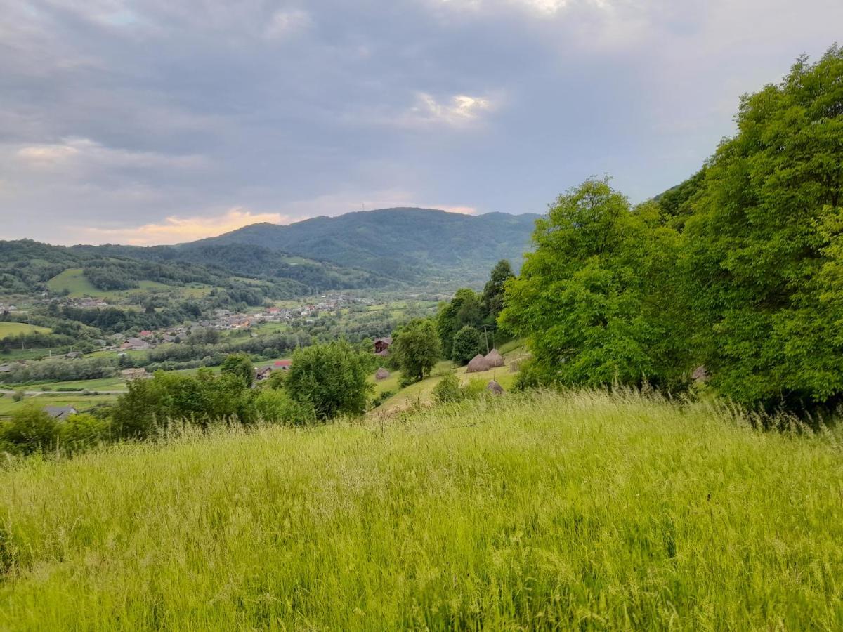 Cabana Din Revier Viseu de Jos Zewnętrze zdjęcie
