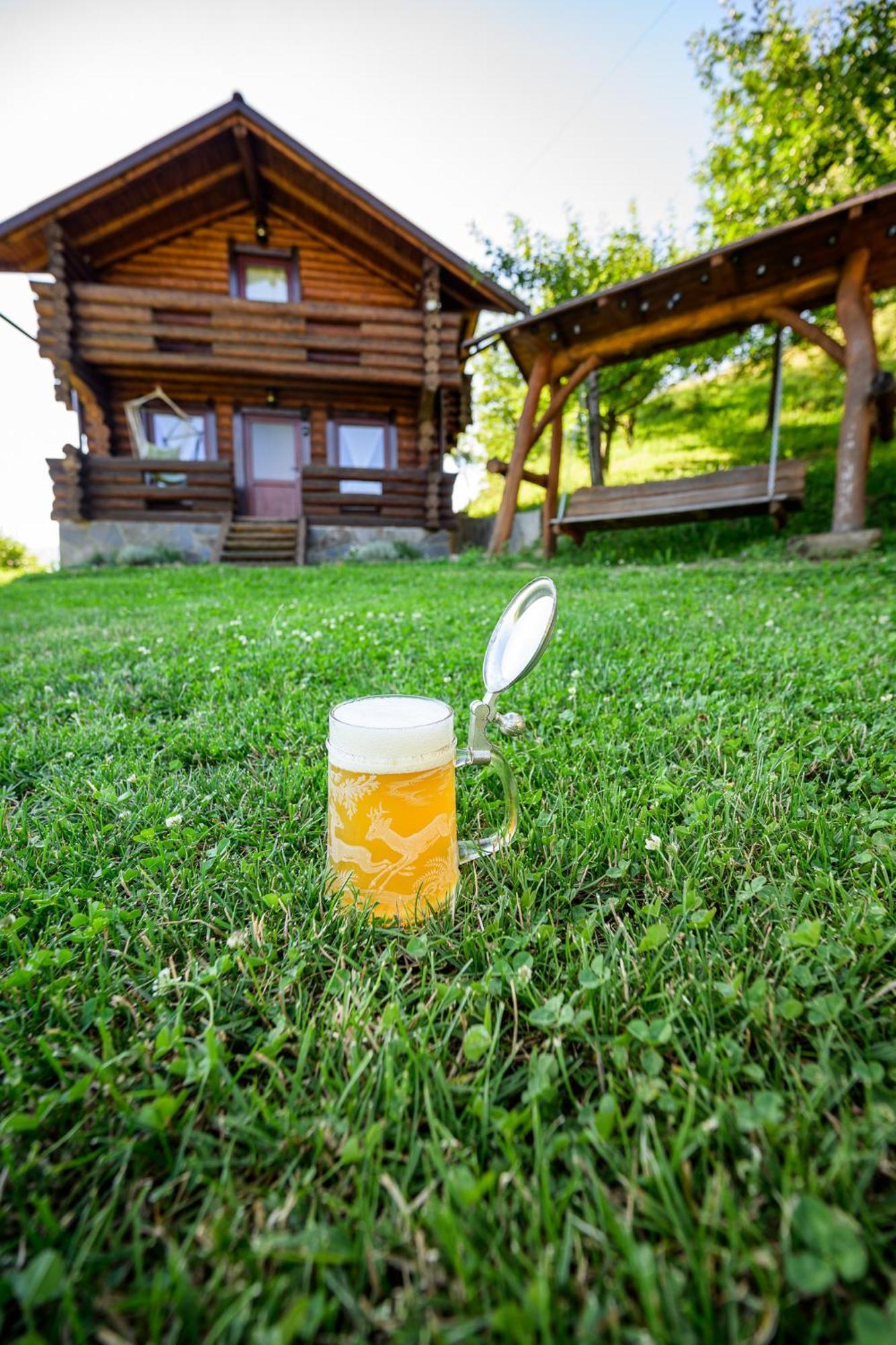 Cabana Din Revier Viseu de Jos Zewnętrze zdjęcie