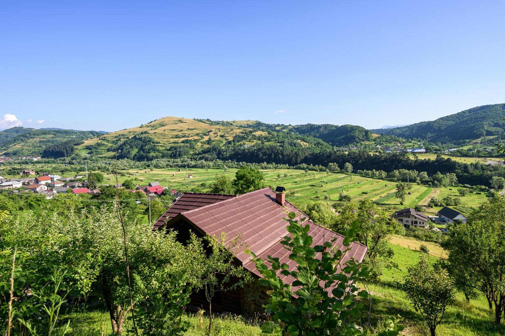 Cabana Din Revier Viseu de Jos Zewnętrze zdjęcie